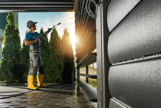 Best Rust Removal  in Ossian, IN